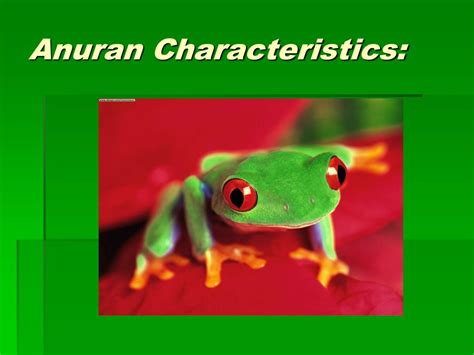 tinamuran meaning|Meaning of tanuran .
